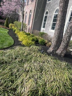 FV Stars Landscaping