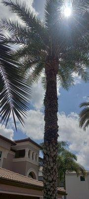 Ridge Valley Tree Service