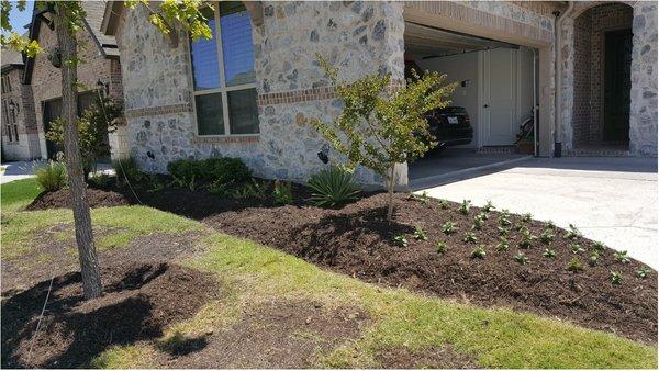 Mora Complete Landscaping