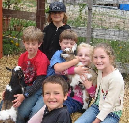 Peaceful Valley Farm