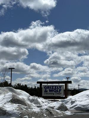 Bears still hibernating