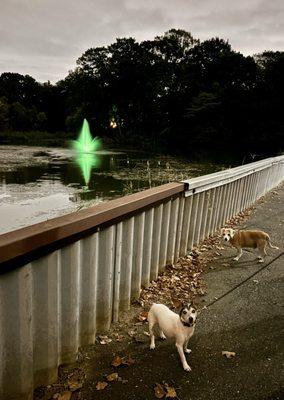 "Are we there yet?!!" Live living so close! (9/24/24)