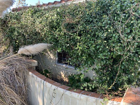 Pablo's Maintenance Service