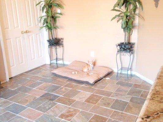 Modern Day Renovations