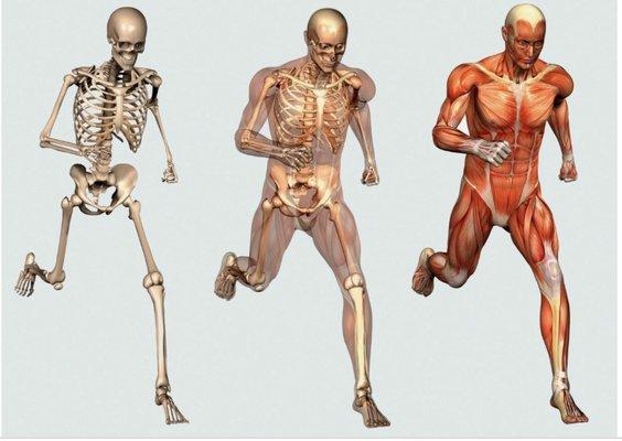 I work with you on not just massage but movement and range of motions as well for all areas of the body.