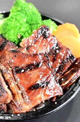 Teriyaki City Grill - San Lorenzo
