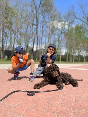 Walkmans Dog Training