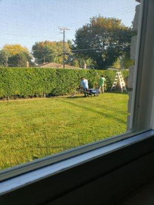Greenline Lawn Service