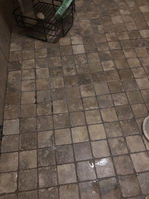 Service Cleaning Sany&Rey