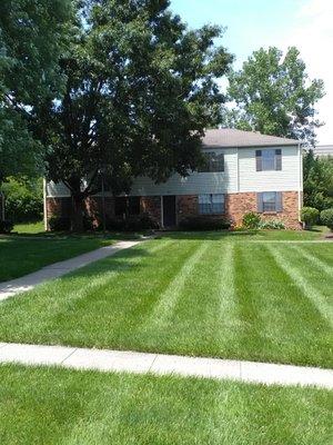 Action Business Funding