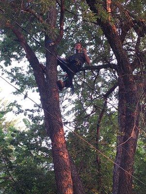 Authentic Tree Service