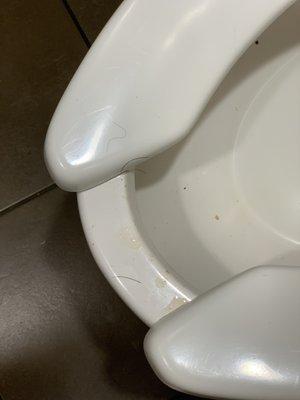 Pilot Travel Center - New Albany