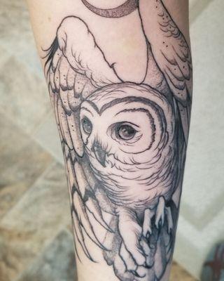Barred owl with crescent moon by Joe Perreze.