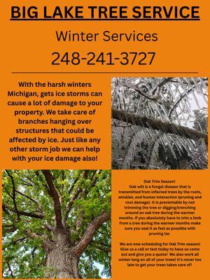 Big Lake Tree Service
