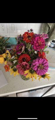 Meadow Vista Flower & Berry Farm