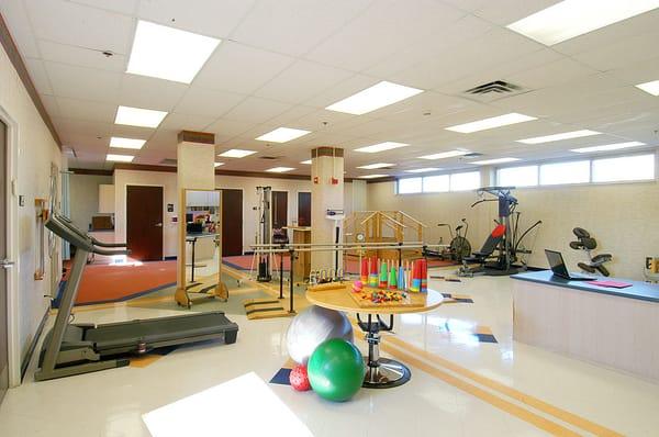 Physical Therapy, Rehabilitation