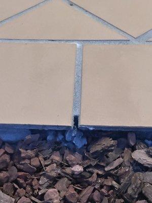 WCI at Cordoba by Lennar