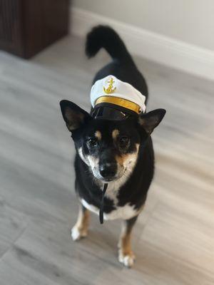 Fifi's Secret Pet Boutique