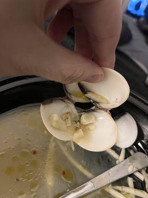 Teeny tiny clams with big ol' chunks of garlic. I guess actually dicing the garlic required too much effort. Yuck