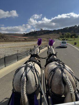 Peter & Pam funeral services at Rosehills