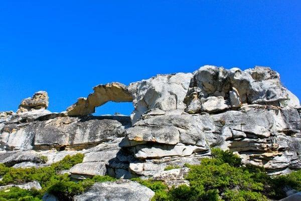 It looks like the pipe is coming out of the indians nose