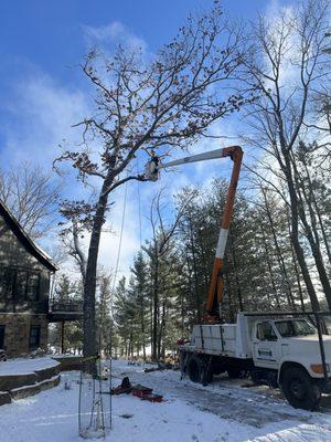 Laketown Tree Service