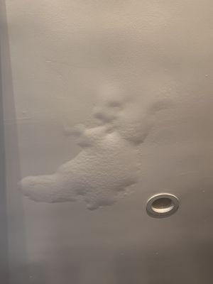 Tarzana 5 Apartments