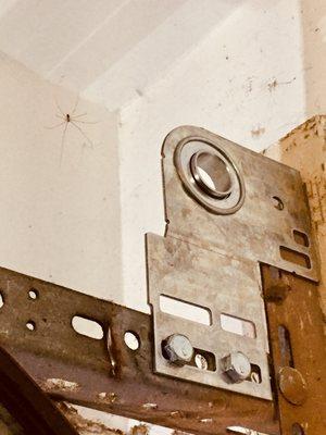 Granddaddy long legs watching us repair the garage door, adding a bracket, rod, and large spring.