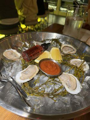*Oysters, Daily Selection