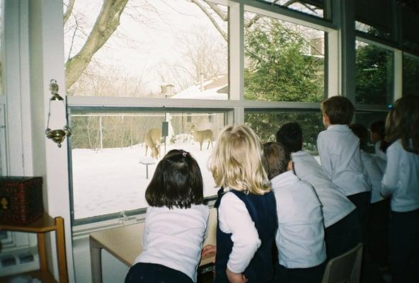 Montessori School of University Heights