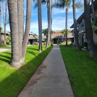 Savenna Apartments Homes