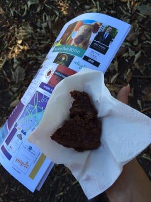 Thomas R was a super sweet Yelper and got me a map, a brownie, and directions to the bathroom! Thanks for coming out and being awesome!!