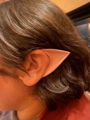 Texan ENT & Allergy Specialists