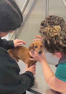 Old man check up (3/2/24)