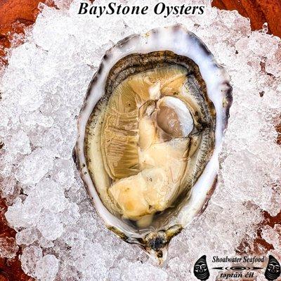 Shoalwater Seafood's BayStone Oyster