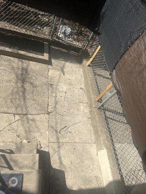 Sharpe Edge Landscaping