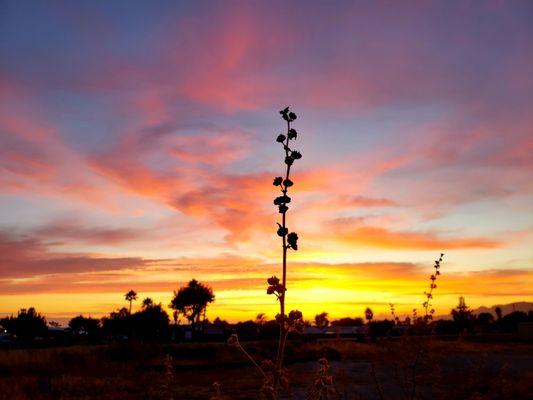 Get Moving Adventures