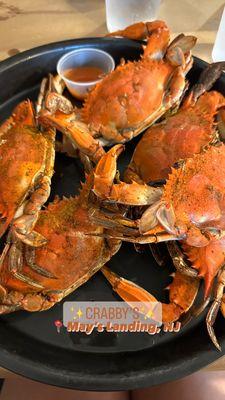 Crabby's