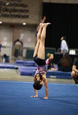 Elevate Gymnastics Academy