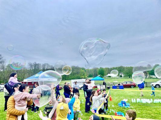 Bubbletopia -- Springton Manor Farm, Sheep & Wool 2024