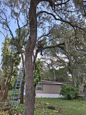 TWM Property Maintenance