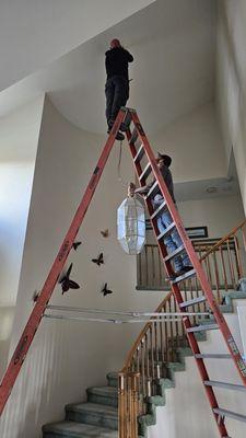 Steve Cavenee Electric