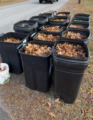 City Compost