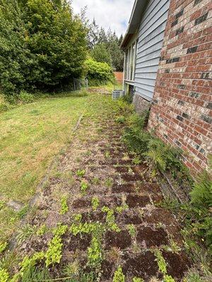 DNA Tree And Landscaping