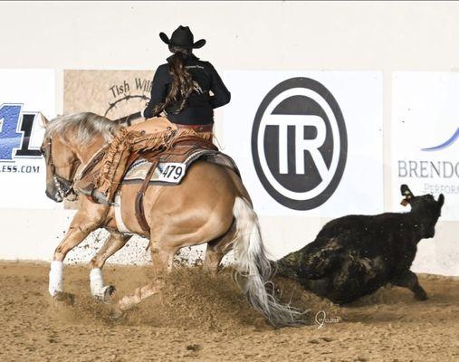 R B Training Stables