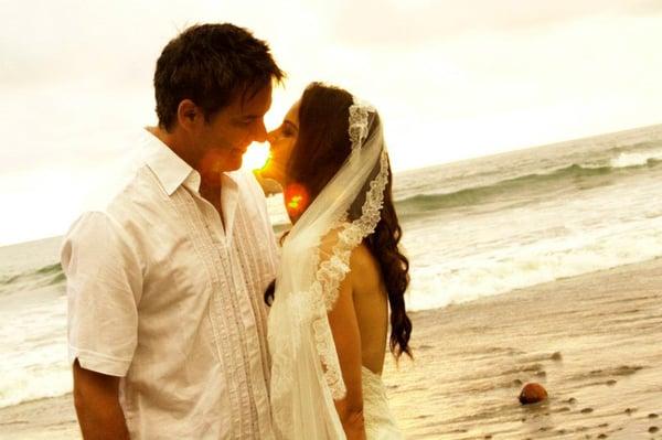 Sunlight shines through