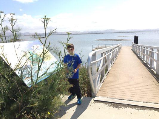 #Yelp #NapaSonomaMarshesWildlifeArea