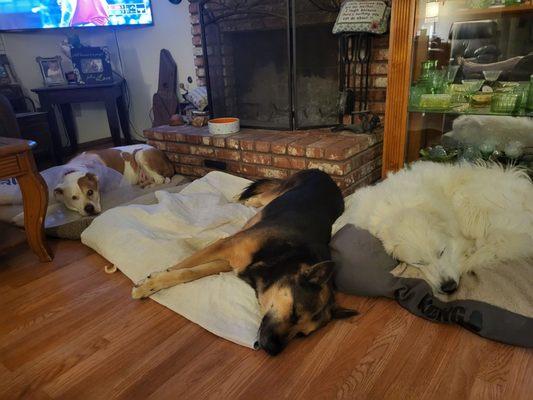 Four Points Feed Store