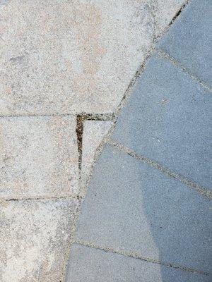 Sparkling Image Roof & Exterior Cleaning