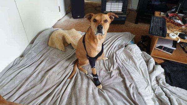 Saphire says thank you